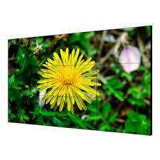 Màn hình ghép chuyên dụng viền ghép 1.8mm 55 inch DS-D2055LE-G